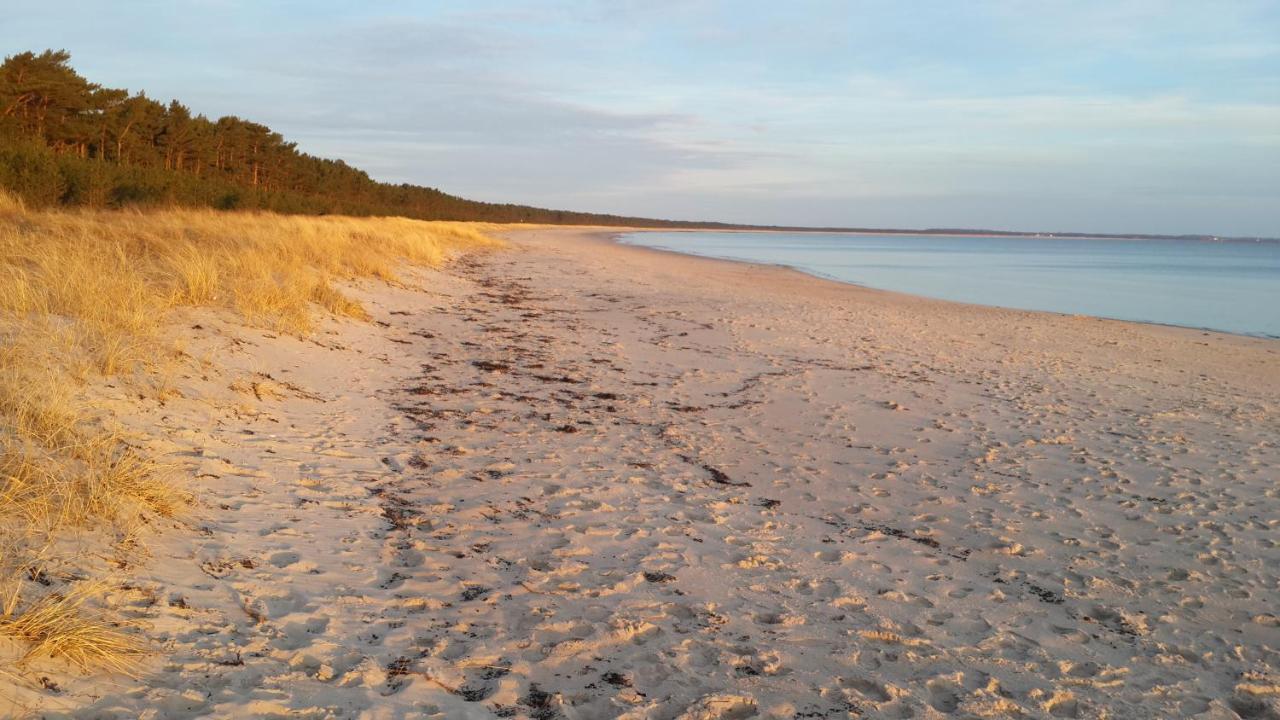 Ostseehaus Odin Doppelhaushaelfte Wiek auf Rügen Kültér fotó